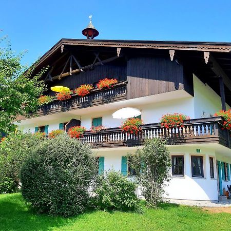 Апартаменти Gschwendtnerhof App10 Krausw Ашау-ім-Кімгау Екстер'єр фото