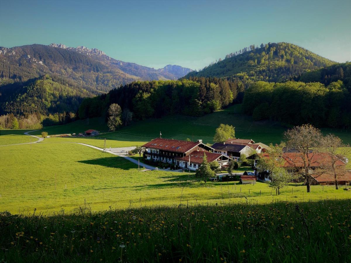 Апартаменти Gschwendtnerhof App10 Krausw Ашау-ім-Кімгау Екстер'єр фото